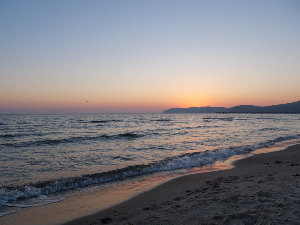 The Real Cost of Airbnb Fees: Impact on Your Bottom Line